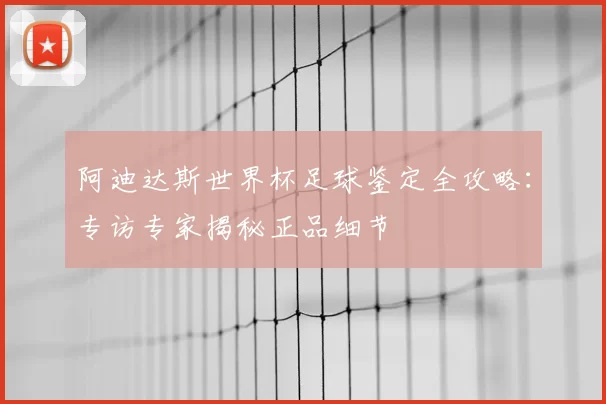 阿迪达斯世界杯足球鉴定全攻略:专访专家揭秘正品细节