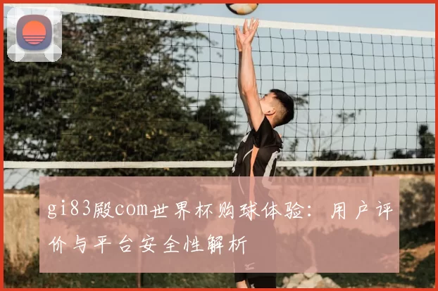 gi83殿com世界杯购球体验:用户评价与平台安全性解析