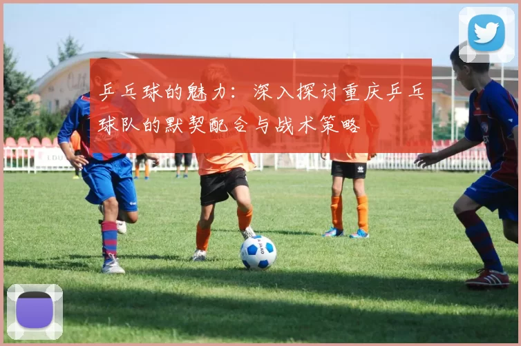 乒乓球的魅力：深入探讨重庆乒乓球队的默契配合与战术策略