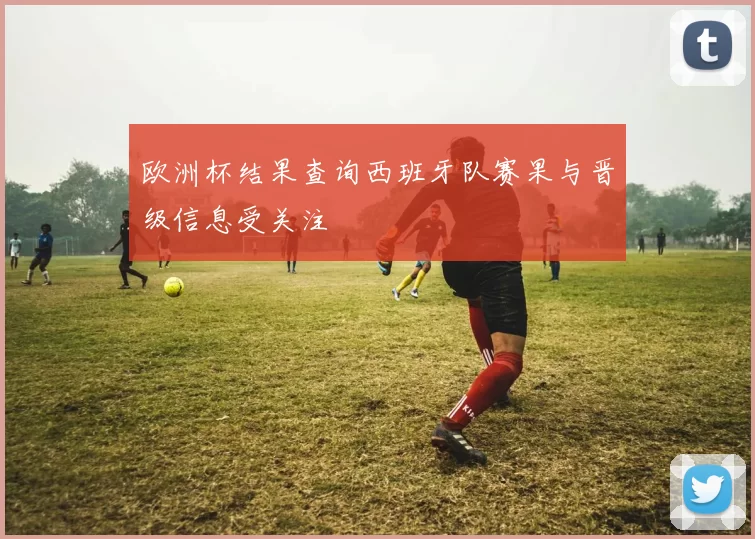 欧洲杯结果查询西班牙队赛果与晋级信息受关注