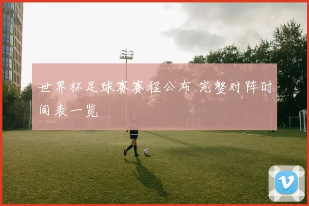 世界杯足球赛赛程公布 完整对阵时间表一览