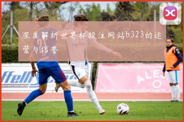 深度解析世界杯投注网站b323的运营与信誉