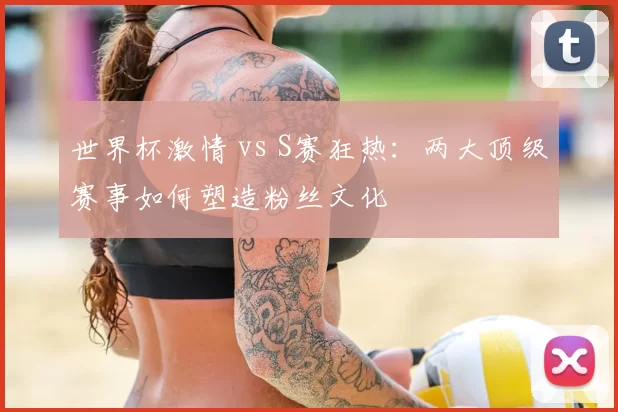 世界杯激情 vs S赛狂热：两大顶级赛事如何塑造粉丝文化
