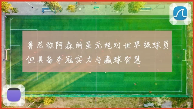 鲁尼称阿森纳虽无绝对世界级球员但具备夺冠实力与赢球智慧
