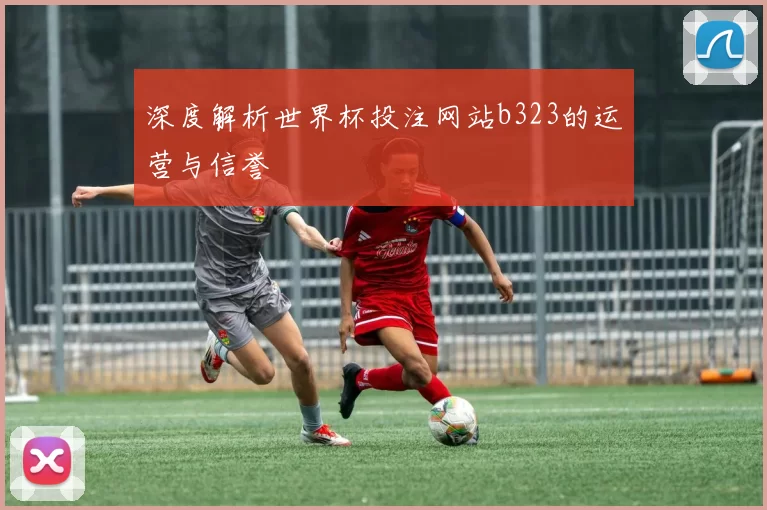 深度解析世界杯投注网站b323的运营与信誉