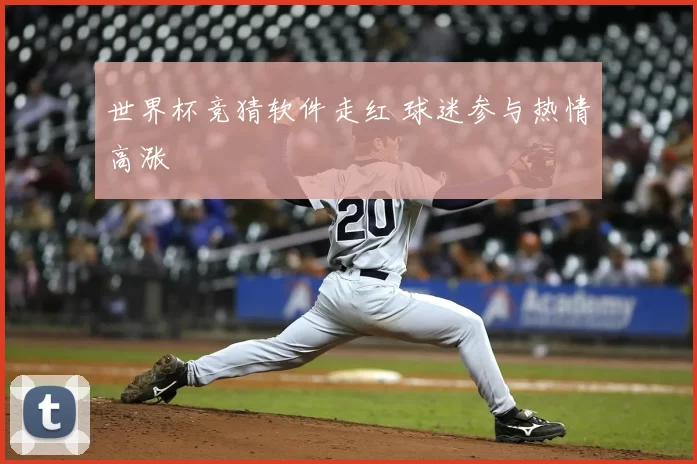世界杯竞猜软件走红 球迷参与热情高涨