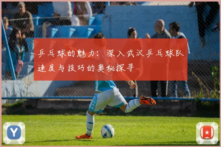 乒乓球的魅力:深入武汉乒乓球队速度与技巧的奥秘探寻