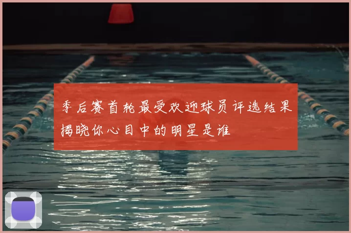 季后赛首轮最受欢迎球员评选结果揭晓你心目中的明星是谁