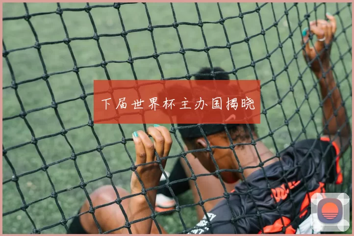 下届世界杯主办国揭晓