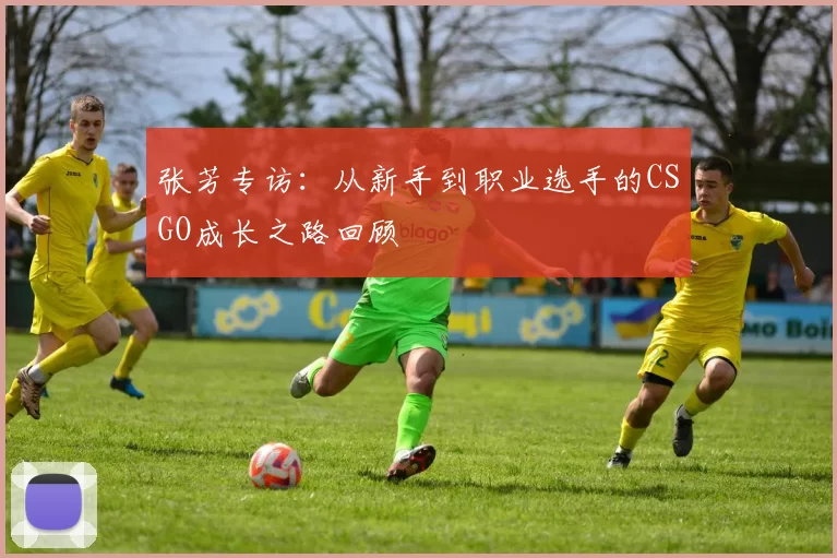 张芳专访:从新手到职业选手的CSGO成长之路回顾