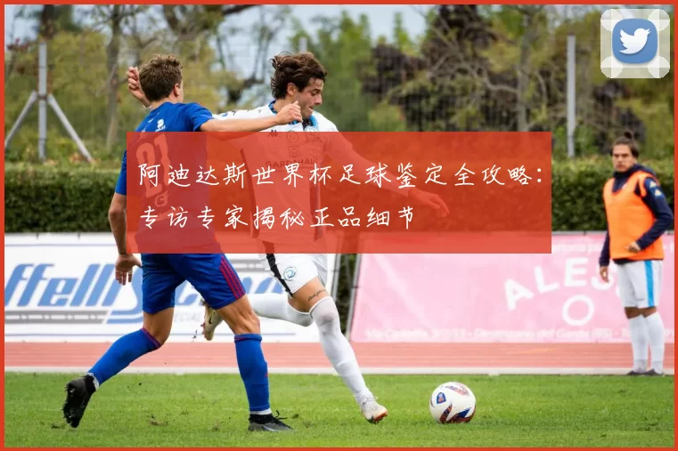 阿迪达斯世界杯足球鉴定全攻略:专访专家揭秘正品细节