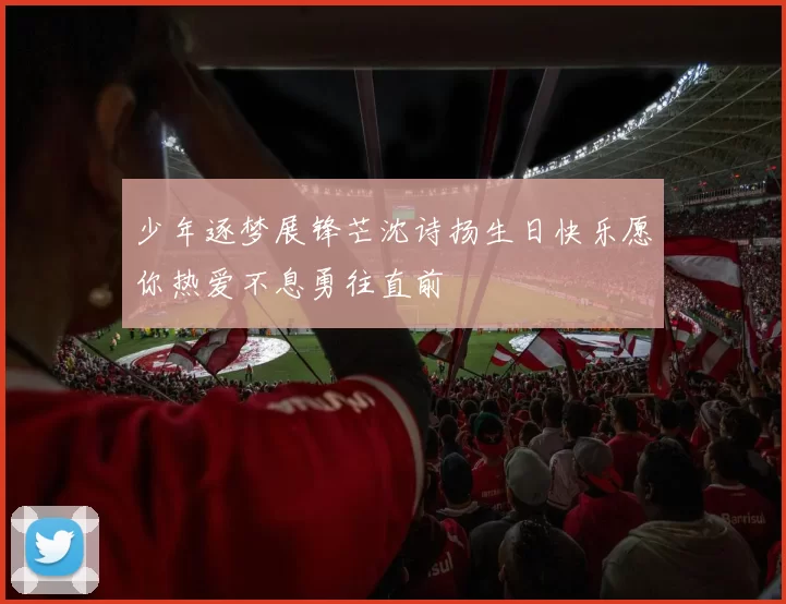 少年逐梦展锋芒沈诗扬生日快乐愿你热爱不息勇往直前
