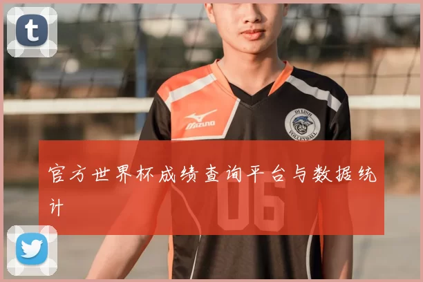 官方世界杯成绩查询平台与数据统计