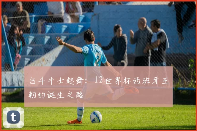 当斗牛士起舞:12世界杯西班牙王朝的诞生之路