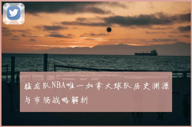 猛龙队NBA唯一加拿大球队历史渊源与市场战略解析